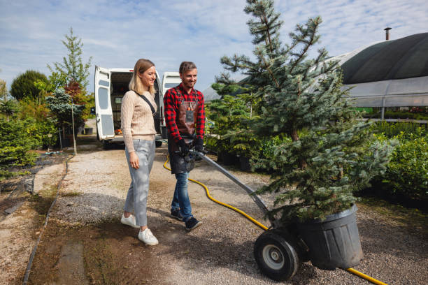 Best Utility Line Clearance  in Erda, UT